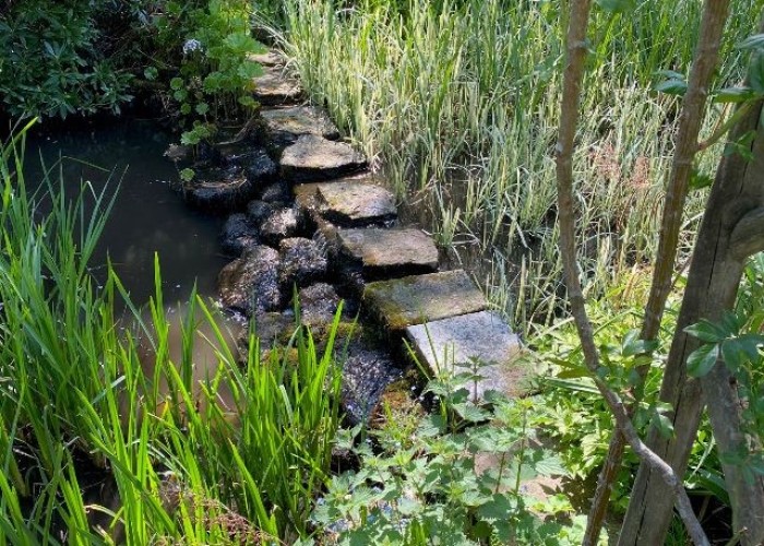 35. Lake / Pond
