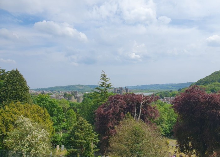 31. Countryside View