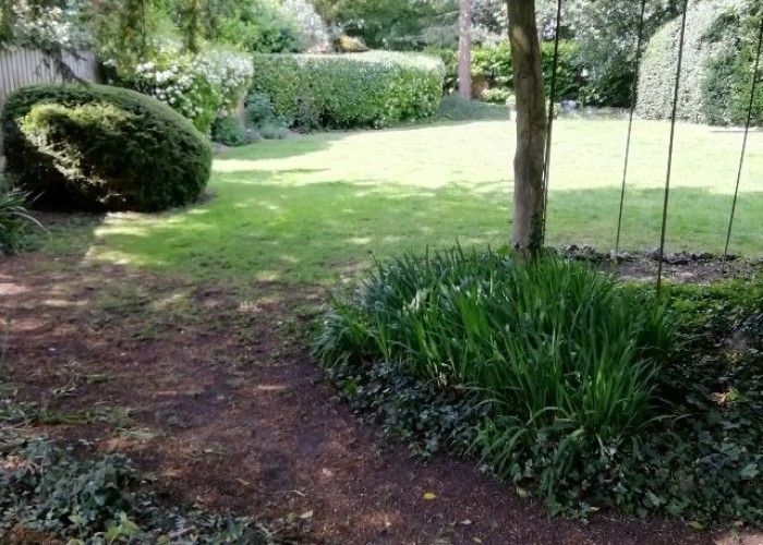 40. Garden (Rear, Large)