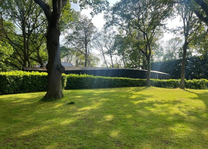 47. Garden (Rear, Large)