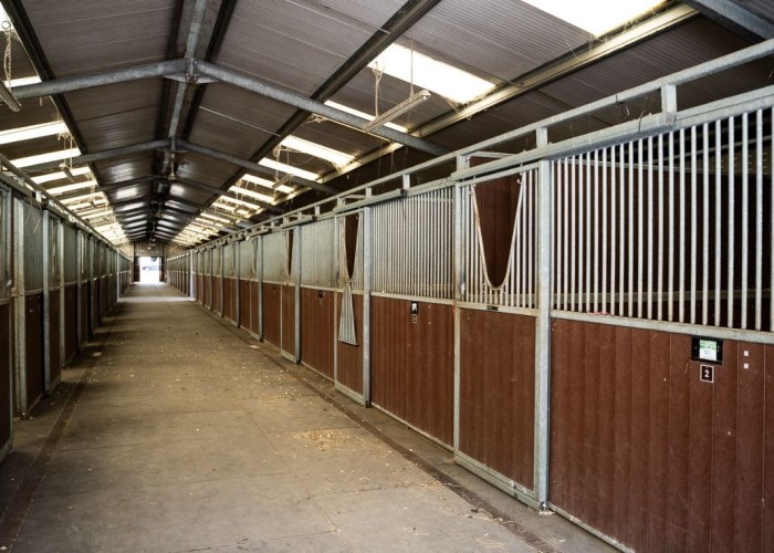 15. Coronavirus-Friendly, Equestrian