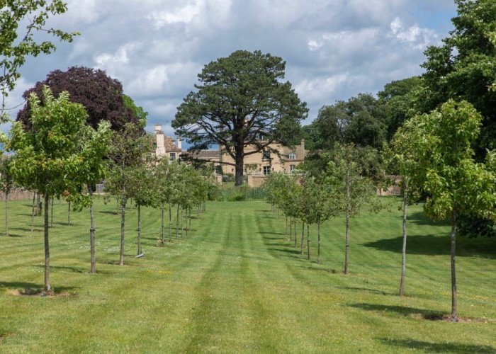 51. Garden (Rear, Large)
