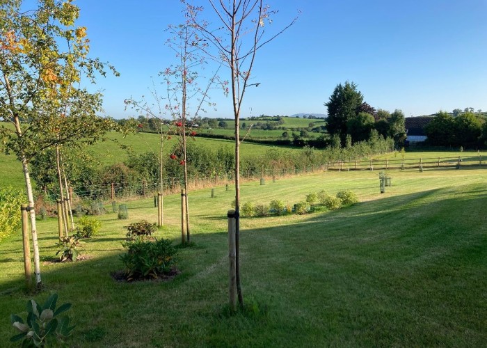 19. Garden (Rear, Large)