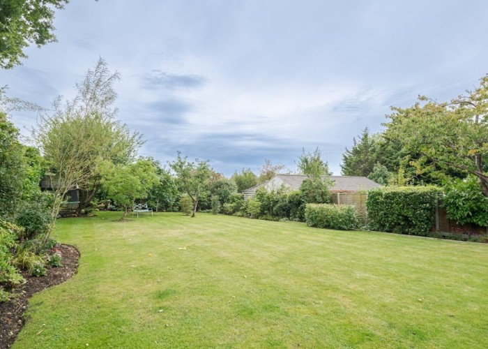 39. Garden (Rear, Large)