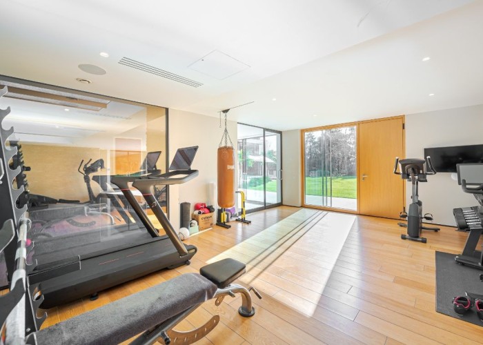 39. Gym (Home)