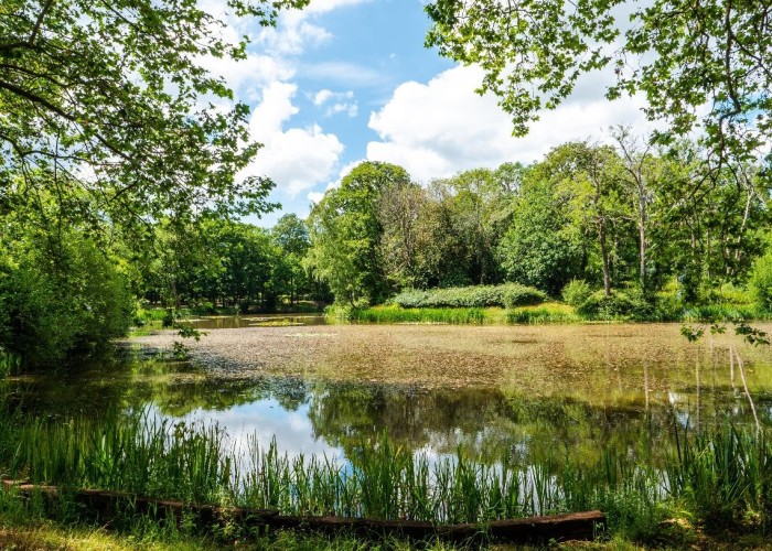 38. Lake / Pond