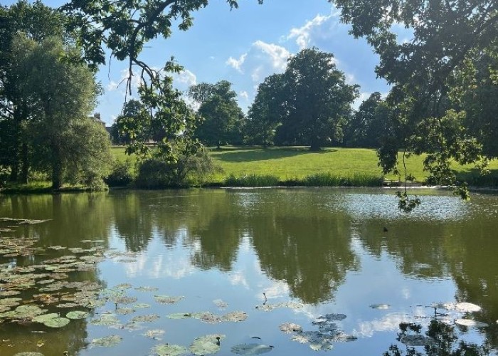 33. Lake / Pond