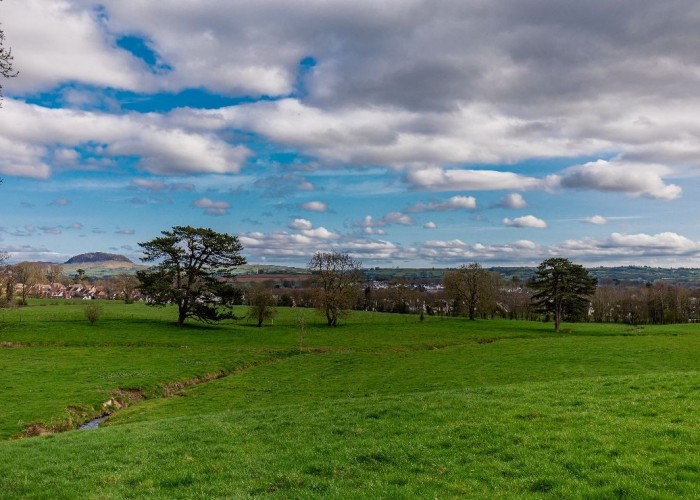 18. Garden (Rear, Large)