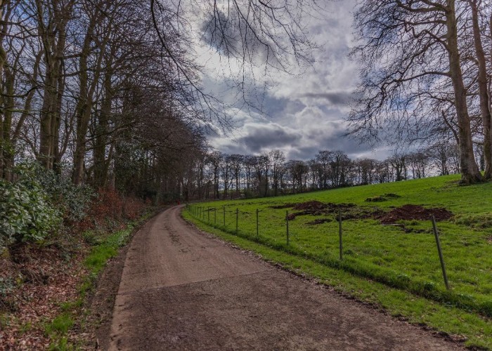 1. Driveway, Coronavirus-Friendly