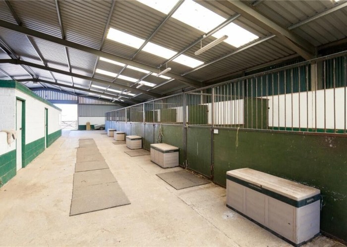 9. Stables