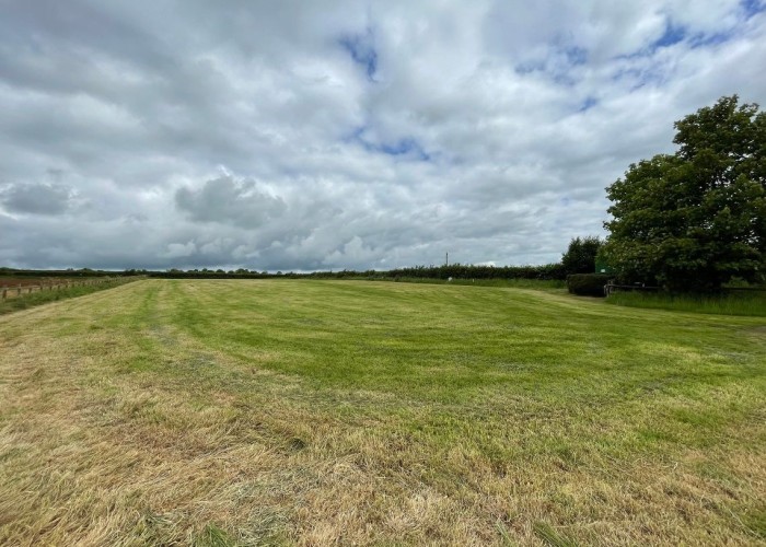 61. Fields