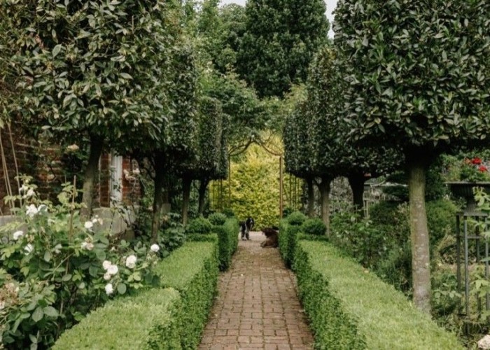50. Garden (Rear, Large)