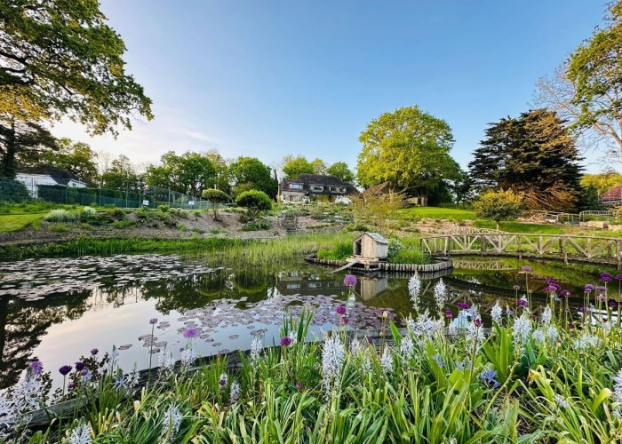 12. Lake / Pond