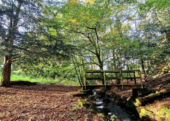 33. Woodland, Garden (Rear, Large)
