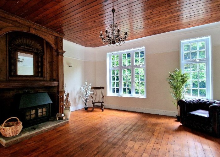 11. Livingroom, Fireplace