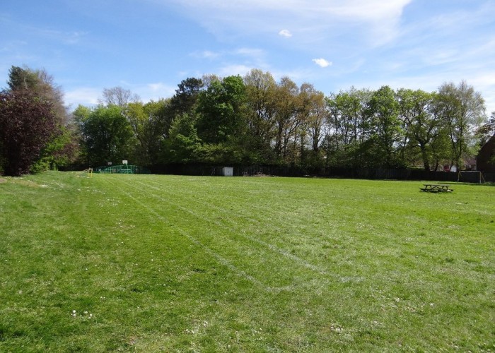 5. Fields