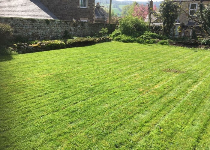 30. Garden (Rear, Large)