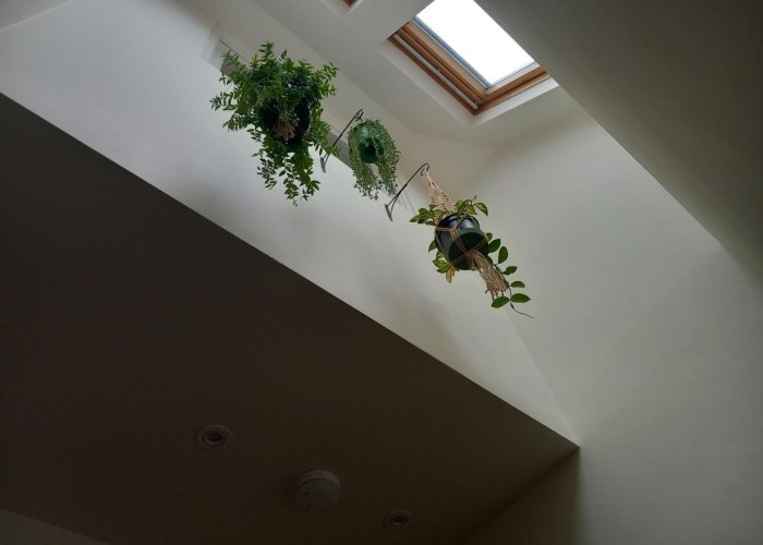 4. Skylight