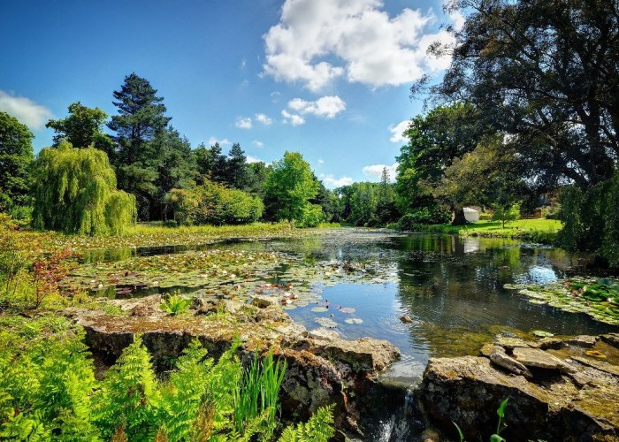3. Lake / Pond, Coronavirus-Friendly