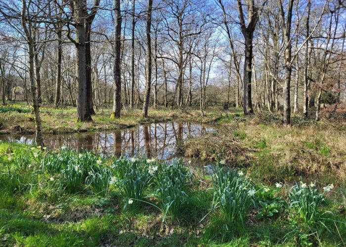 3. Lake / Pond