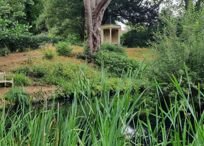 63. Lake / Pond