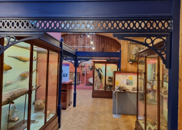 17. Gallery /Museum