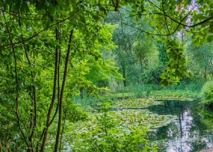60. Lake / Pond