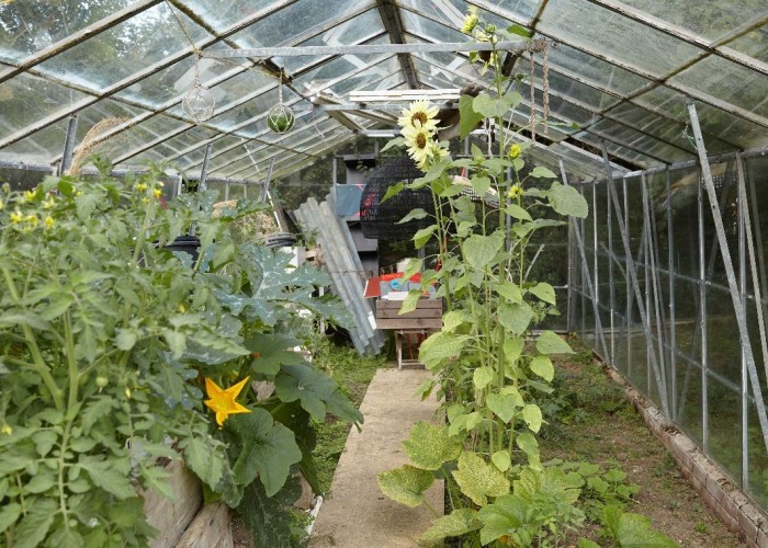 44. Greenhouse