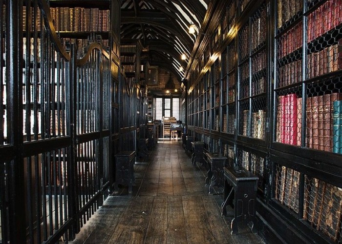 13. Library / Bookshop