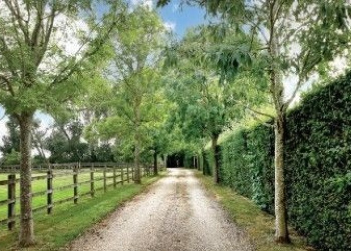 2. Driveway
