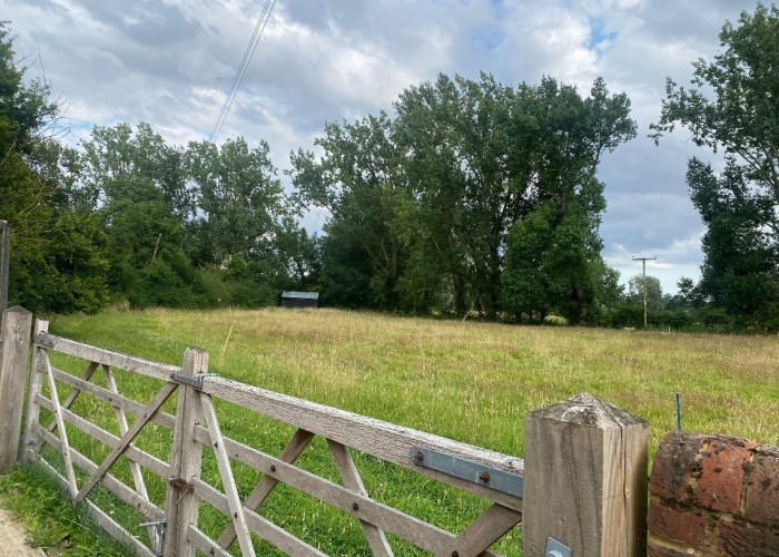 48. Fields, Garden (Rear, Large)