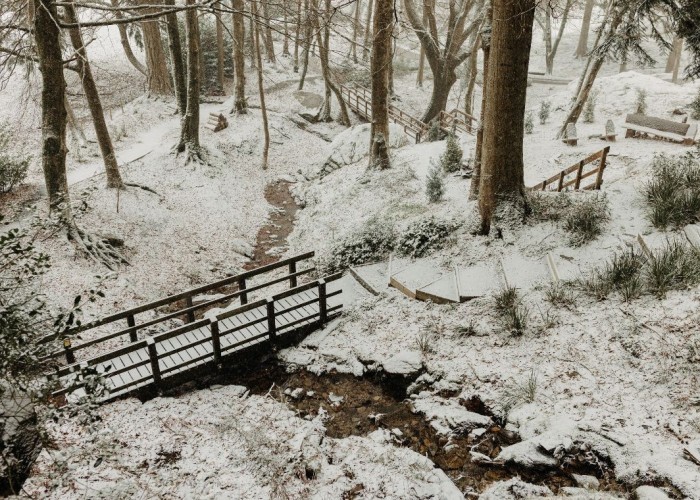 29. Bridge