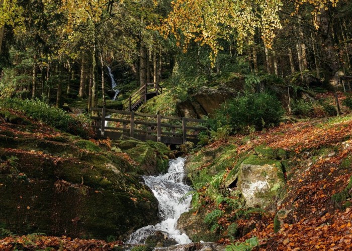45. River / Stream