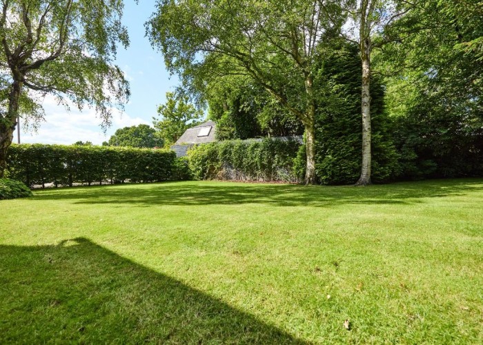 54. Garden (Rear, Large)