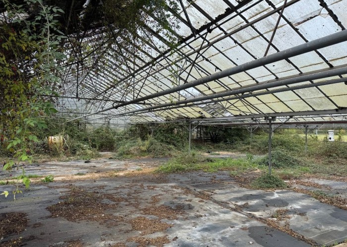 7. Derelict, Greenhouse