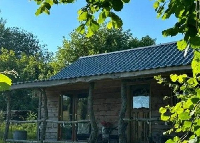 Rural And Secluded Cabin For Filming