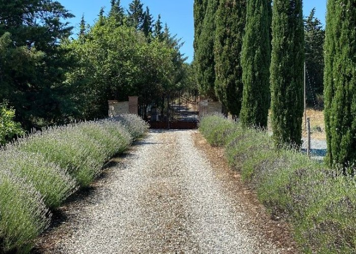 1. Driveway, Gate, Coronavirus-Friendly