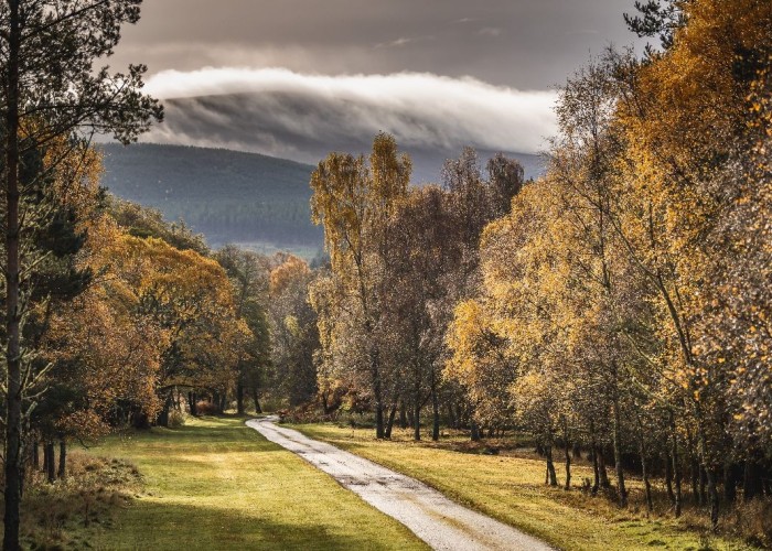 22,000 Sporting Estate In Scotland For Filming