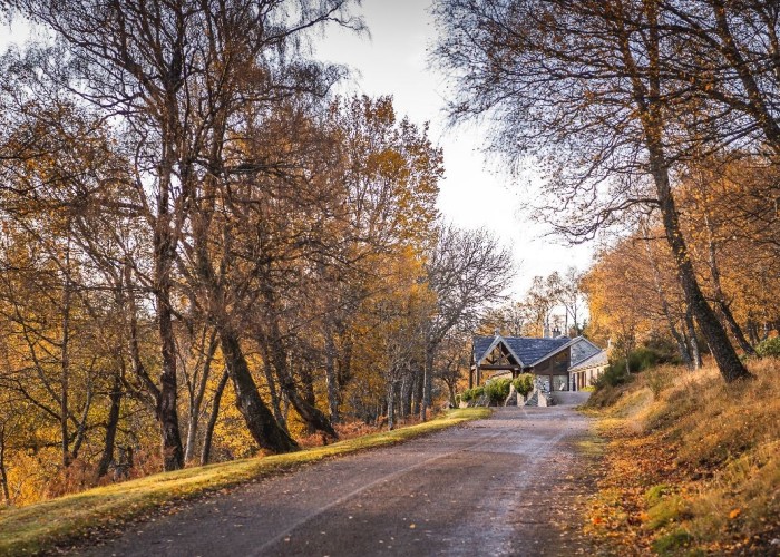 3. Driveway, Coronavirus-Friendly