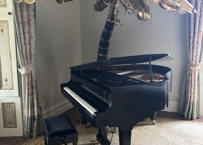 12. Piano