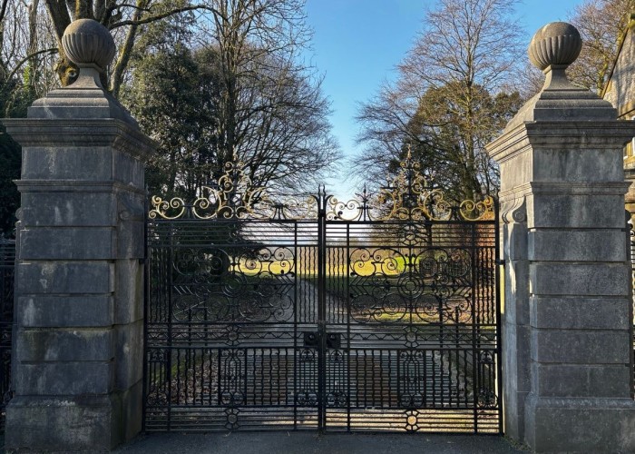 4. Gates (Electric)