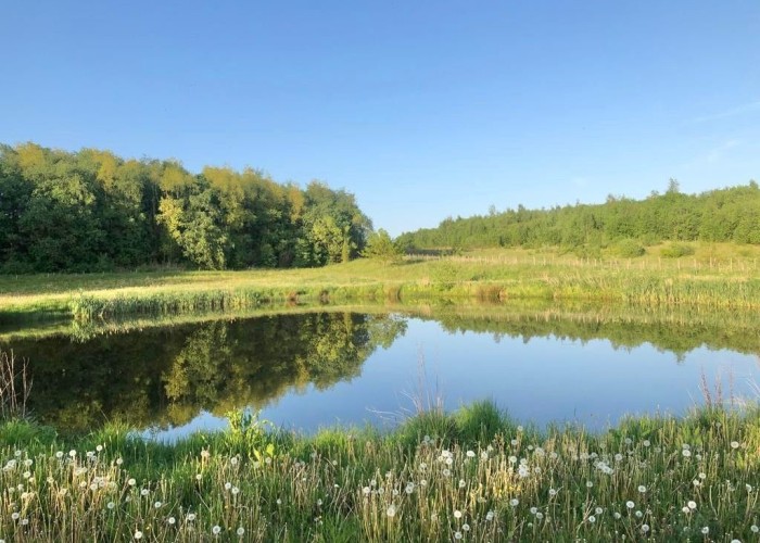 30. Lake / Pond
