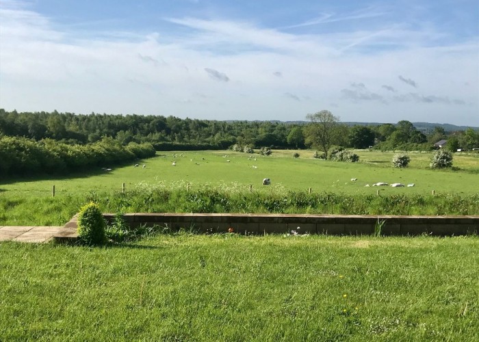 28. Woodland, Field (Farmland)