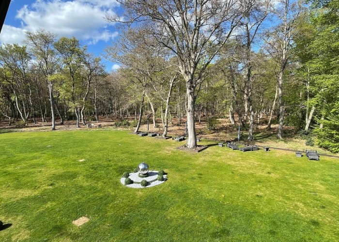 37. Garden (Rear, Large)