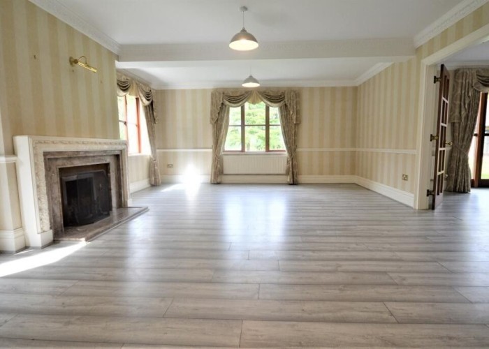 9. Livingroom, Fireplace