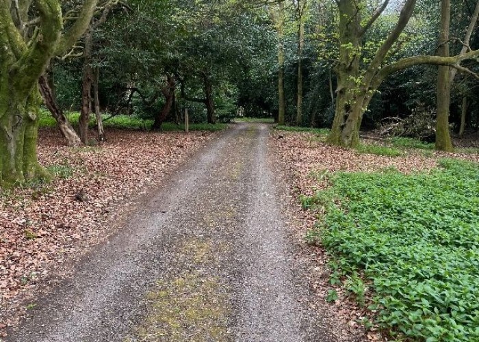 3. Driveway, Coronavirus-Friendly