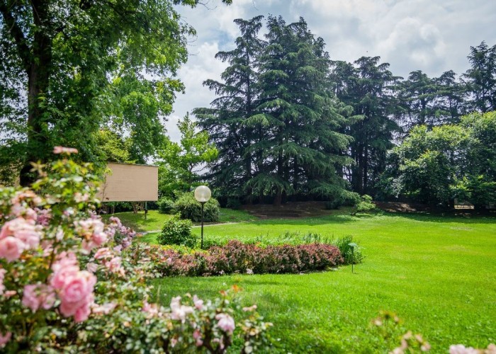 45. Garden (Rear, Large)