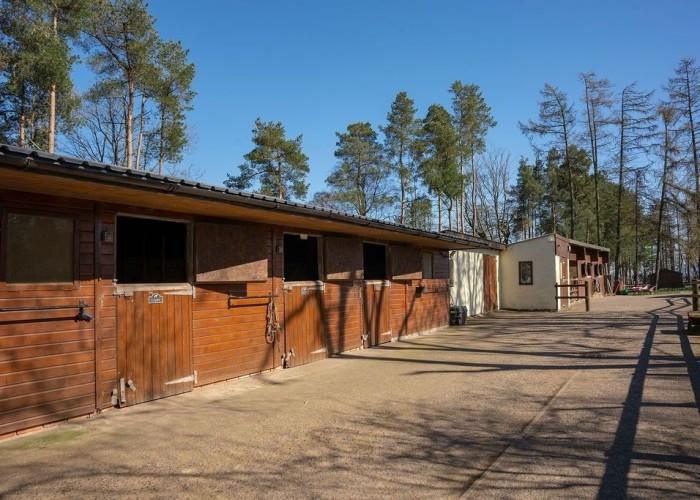 7. Stables