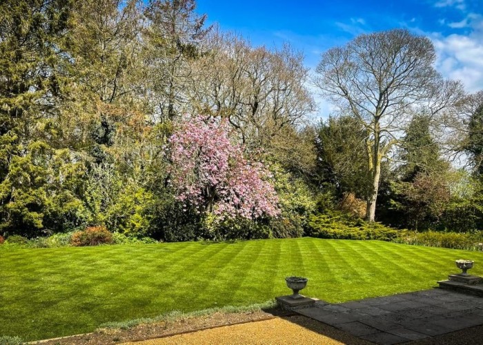 37. Garden (Rear, Large)
