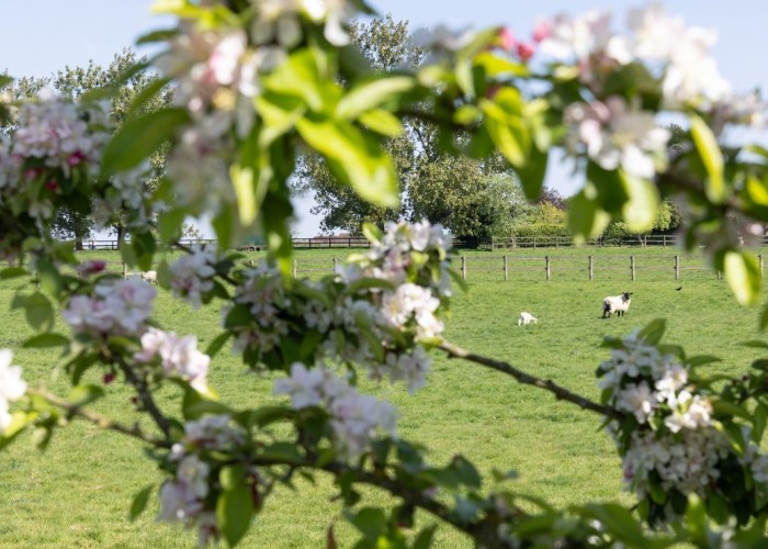 27. Fields